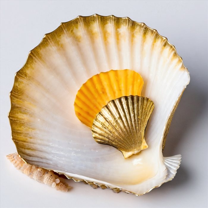 Cuisson parfaite des coquilles Saint-Jacques fondantes