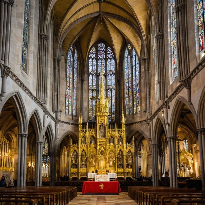 Réussir la Cuisson des Saint-Jacques à la Poêle
