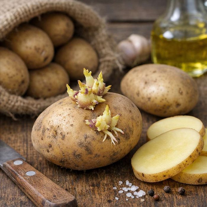 Peut-on manger une pomme de terre germée ? Conseils et risques